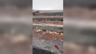 Violet Summers How to make yellow snow snapchat premium реальный порно реальный секс