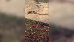 Harley Rose 2019/02/14 реальный порно реальный секс 1