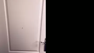 belle delphine чат real реальный чат role play video просочившийся