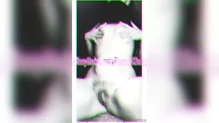 kaseykinksfree шоу чат реальный порно