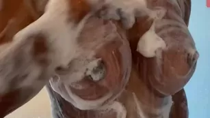 connieelizabeth 30 01 2021 Хорошо morning Flashback I like to stay clean шоу чат реальный порно