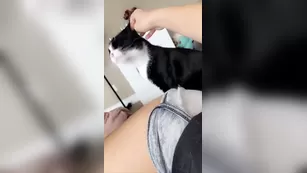 Andie Adams always wet киска snapchat premium реальный порно реальный секс