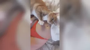 rileyfans шоу чат реальный порно реальный секс 1