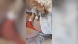 rileyfans шоу чат реальный порно реальный секс 1