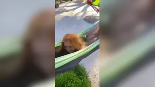 Maddison Morgan outdoor мастурбация snapchat premium 2020/03/30 реальный порно реальный секс 1