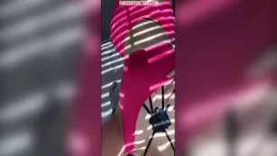 rosalie verte реальный чат video 2020 leaks