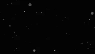 malu trevejo чат ass video просочившийся