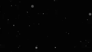 emjayrinaudo_ emily rinaudo чат cum facial video