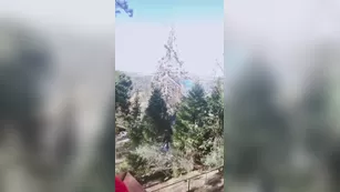 lunalanieee heavy breathing i upset birds with мой ass ( шоу чат реальный порно реальный секс