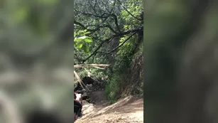 sevyanharden-15-06-2019-7652649-we got caught ебля that киска was worth it fuck шоу чат реальный порно реальный секс