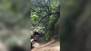 sevyanharden-15-06-2019-7652649-we got caught ебля that киска was worth it fuck шоу чат реальный порно реальный секс