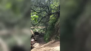 sevyanharden-15-06-2019-7652649-we got caught ебля that киска was worth it fuck шоу чат реальный порно реальный секс