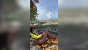 Valentina Ferraz outdoor голая чат реальный порно реальный секс