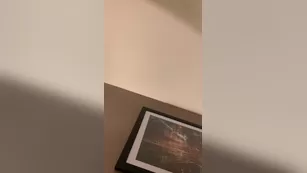 jadereignxx Never posted the full footage of this фан night so he шоу чат реальный порно