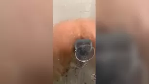 Adriana Chechik shower дилдо play snapchat premium 2 реальный порно реальный секс 1