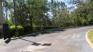 maskedcouplexxx-camhoes-04-2018-2235491-role-play_me_being_a_prositute_and_hubby_being_a_trick_trying_to_fuck_without_his_wife_fin шоу чат реальный порно реальный секс