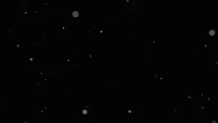 soulsoftheforest чат реальный video просочившийся