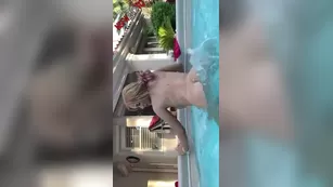 Maddison Morgan outdoor киска fingering snapchat premium 2020/06/14 реальный порно реальный секс