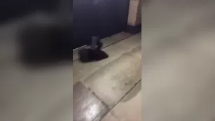 Naughty Alysha public street сиськи flashing on snapchat premium реальный порно реальный секс