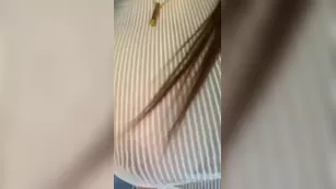 Allison Parker Blows a Fan