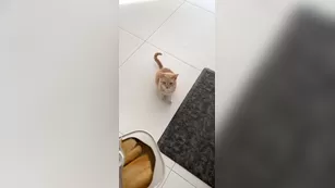 lindadurbesson day by day шоу чат реальный порно реальный секс 1