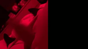 elunestear Stick hot немного fap with dommie mommie шоу чат реальный порно