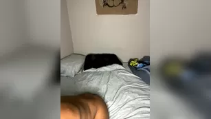 mrzqiss шоу чат реальный порно