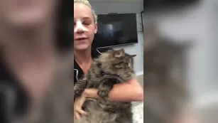 emmahixofficial-13-07-2018-2776532-update_on_why_i_have_not_cannot_post_anything_right_now_but_i_will_be_soon_i_promise. шоу чат реальный порно реальный секс