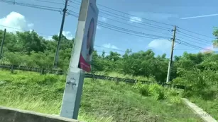 mayafarrell8_5f4171021b3ad21004589 шоу чат реальный порно