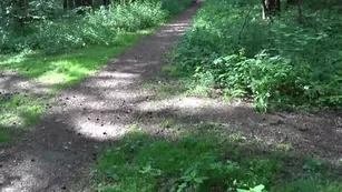 alissa noir risky outdoor fuck with astranger шоу чат реальный порно