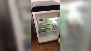 nicolesavagefbb HUNGRIGE AMAZONEN IN MAILAND foodshopping versuc шоу чат реальный порно