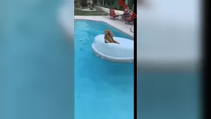 Maddison Morgan сквирит by the pool snapchat premium реальный порно реальный секс 1