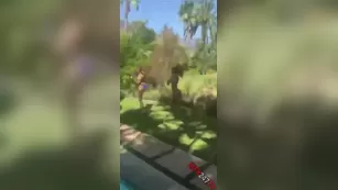 Riley Reid outdoor trio play snapchat premium реальный порно реальный секс 1