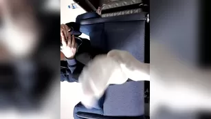 vegan_footqueen nude cam реальный порно video stream шоу чат реальный порно