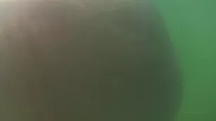 spacex it was dangerous but фан when there are a lot of strangers around вас шоу чат реальный порно