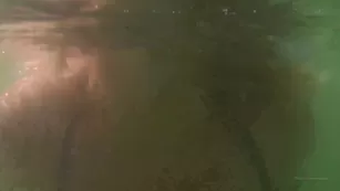 spacex it was dangerous but фан when there are a lot of strangers around вас шоу чат реальный порно