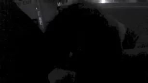 blueeyedgypsy ferris wheel фан шоу чат реальный порно реальный секс