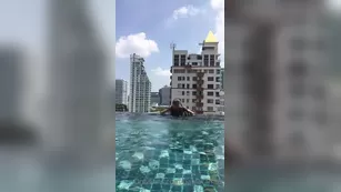 melocotonn qui n se viene qui viens who come шоу чат реальный порно реальный секс 1