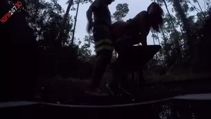 Kelsi Monroe having секс in a forest чат для бесплатное порно реальный секс