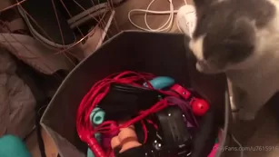 ashley elizabeth 002 Адалт вэбкамс чат для бесплатное порно реальный секс