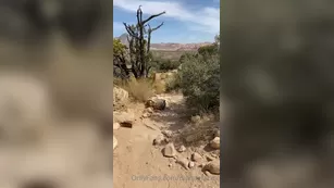 dianagracex 07 10 2020 I had so much фан on мой hike Here s a немного дразнит Адалт вэбкамс чат для бесплатное порно