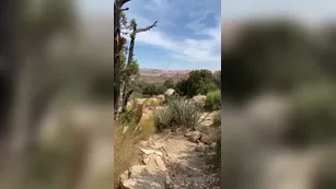 dianagracex 07 10 2020 I had so much фан on мой hike Here s a немного дразнит Адалт вэбкамс чат для бесплатное порно