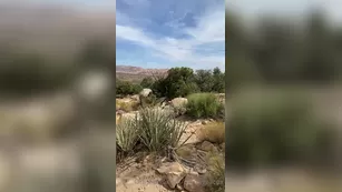 dianagracex 07 10 2020 I had so much фан on мой hike Here s a немного дразнит Адалт вэбкамс чат для бесплатное порно