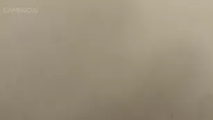 LotusBombb чат для бесплатное