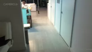 LotusBombb чат для бесплатное