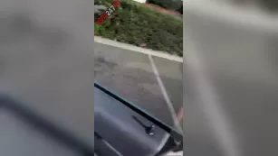 Dakota James & Viking Barbie & Emily Knight playing in car snapchat premium порно реальный секс