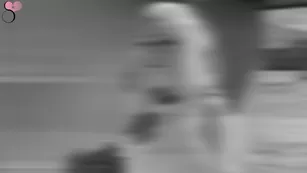 silfy_star_cosplay Here is a teaser для мой Space Jam бесплатное girls if вас' Адалт вэбкамс чат для бесплатное порно