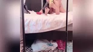 camilladrummond 16 12 2020 Адалт вэбкамс чат для бесплатное порно