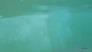 athenabladee hawaii is the place to go au natural Адалт вэбкамс чат для бесплатное порно реальный секс