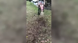 amanda_lovelie if вас go down to the woods tod Адалт вэбкамс чат для бесплатное порно реальный секс